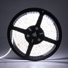 SMD 2835 White Non-waterproof LED Light Strip - DC12V 120LEDs/m 16.4 Ft LED Strip Light